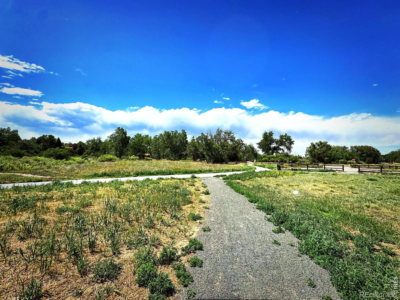 3121 S Tamarac Drive #208 #H Denver CO 80231 MLS #RECIR1060774 06102026180602 1600 44