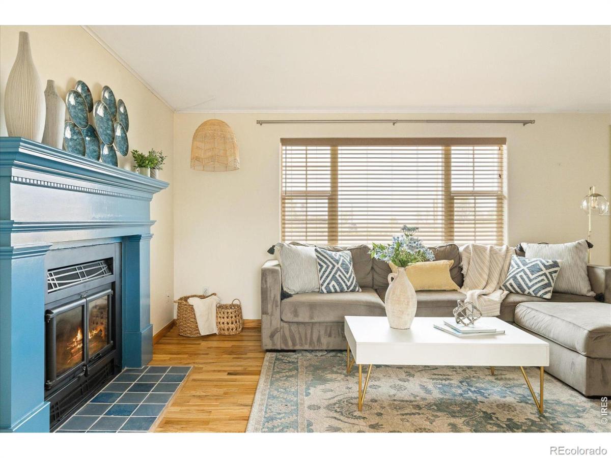 MLS #RECIR1060807 image #0