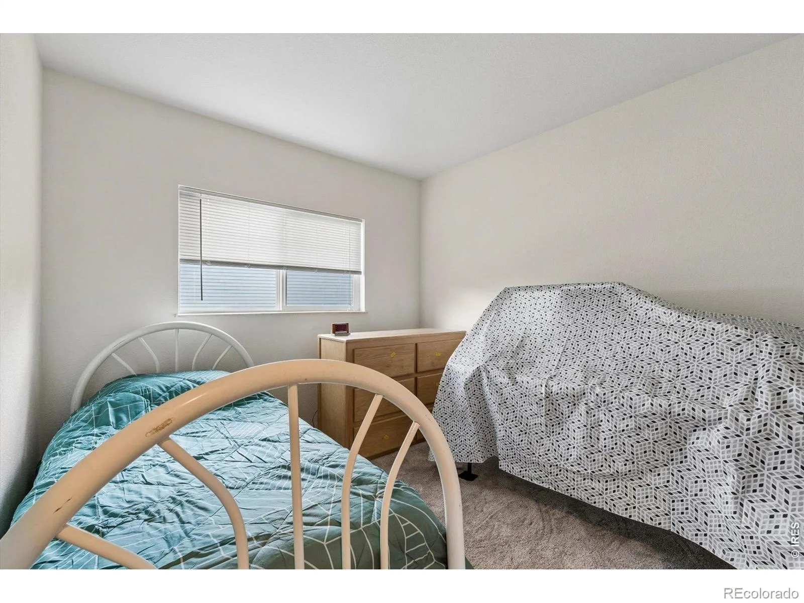 167 Montgomery Drive Erie CO 80516 | MLS #RECIR1060886 08122026013516 1600 27