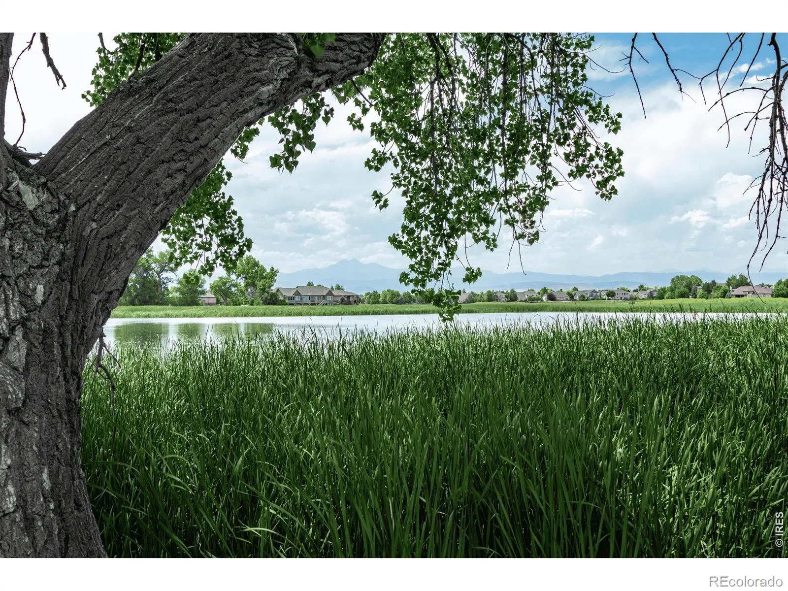 1757 Montgomery Circle Longmont CO 80504 MLS #RECIR1060920 06082026215452 1600 47