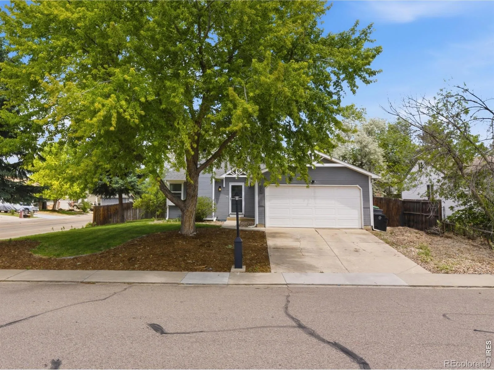 2236 Tulip Street Longmont CO 80501 MLS #RECIR1060948 06082026215231 1600 1
