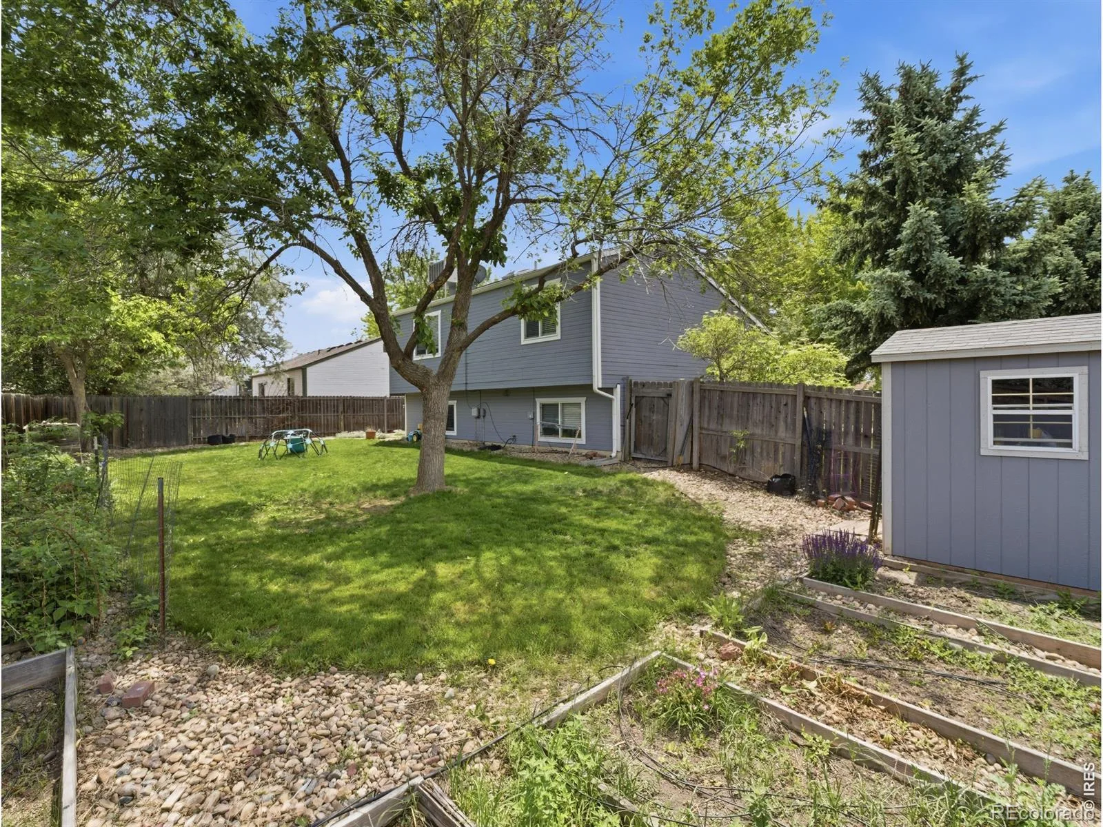 2236 Tulip Street Longmont CO 80501 MLS #RECIR1060948 06082026215231 1600 18