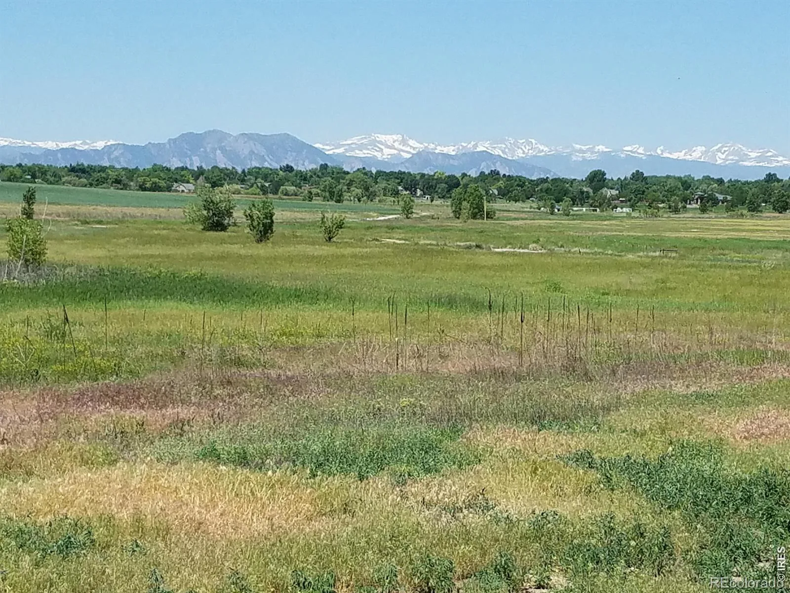 12883 King Street Broomfield CO 80020 | MLS #RECIR1061041 08262026004310 1600 37