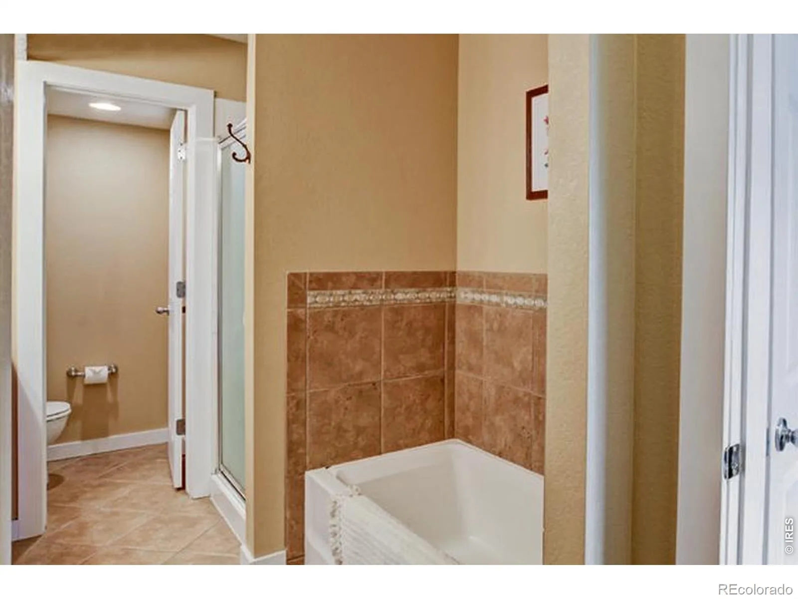 163 Rendezvous Drive Lafayette CO 80026 | MLS #RECIR1061074 07012026014613 1600 13