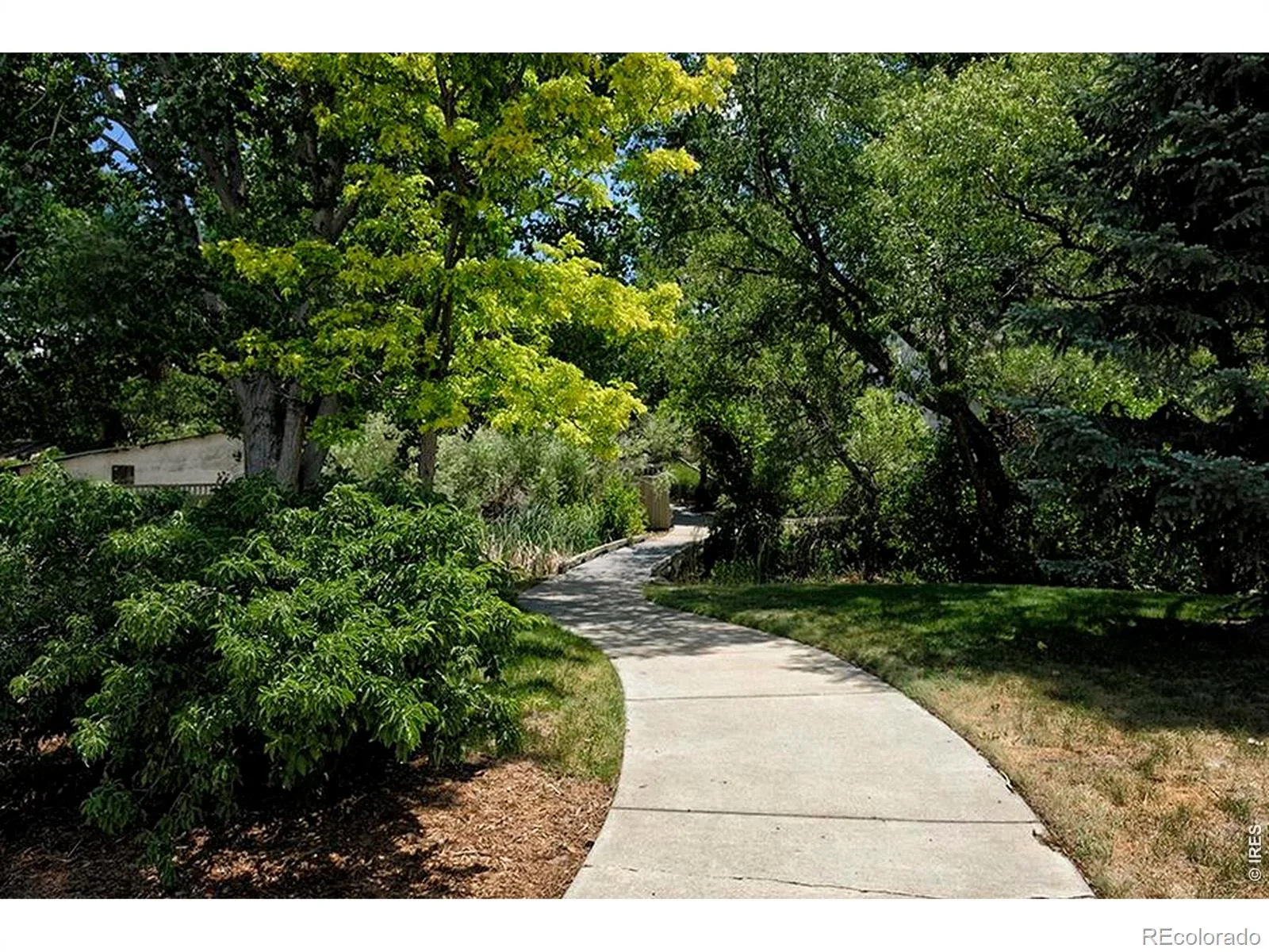 163 Rendezvous Drive Lafayette CO 80026 | MLS #RECIR1061074 07012026014613 1600 19