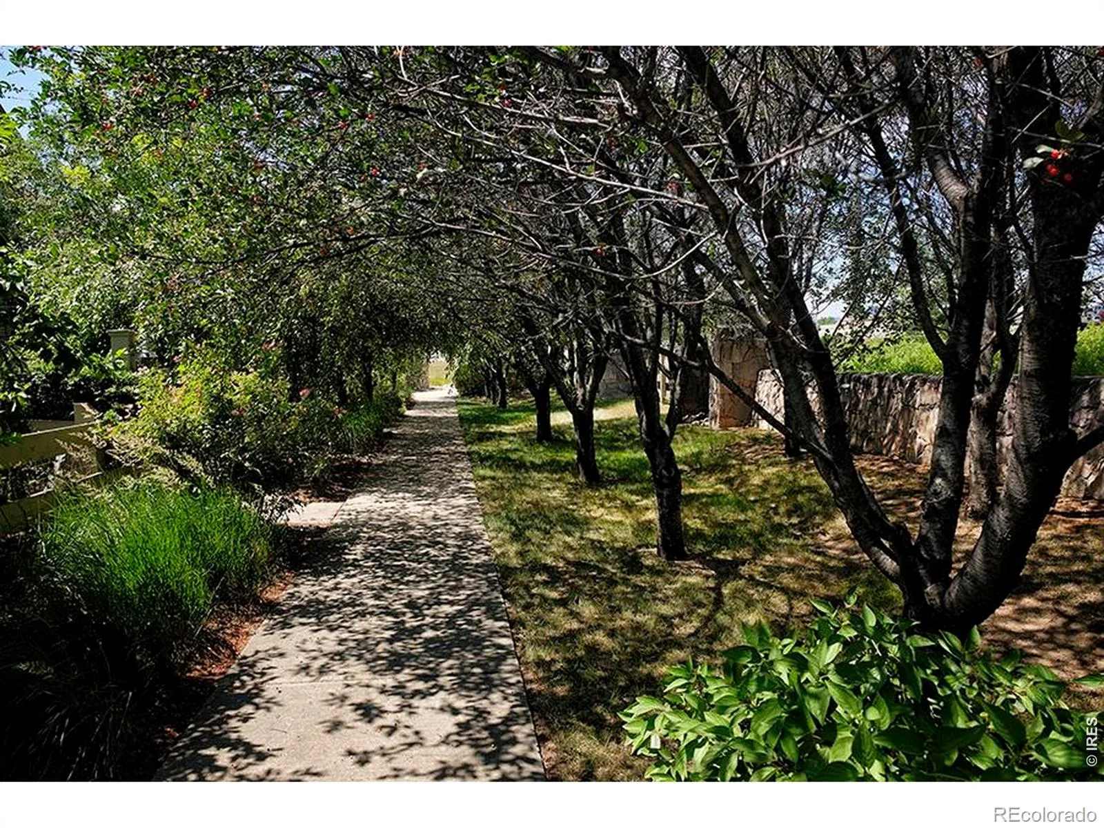 163 Rendezvous Drive Lafayette CO 80026 | MLS #RECIR1061074 07012026014613 1600 21