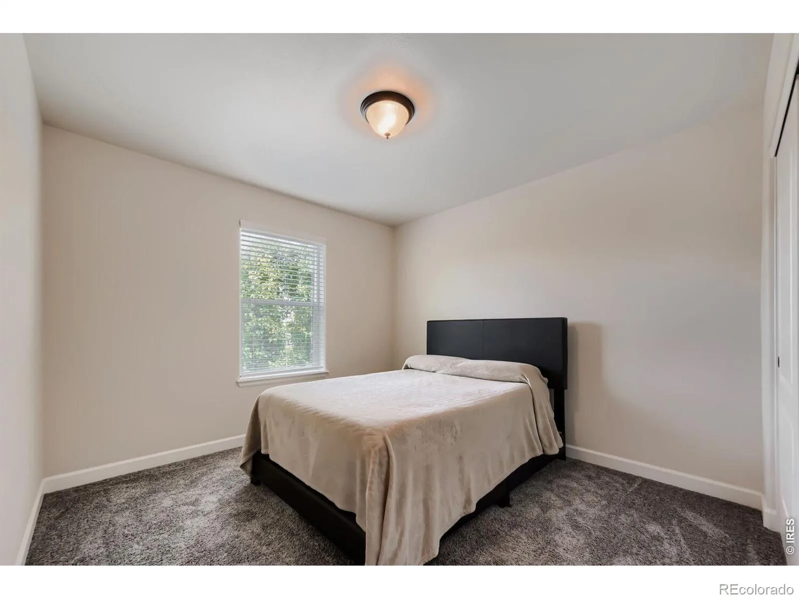 1507 Jackson Court Longmont CO 80501 MLS #RECIR1061083 06092026151956 1600 24