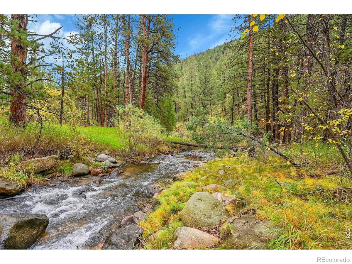 MLS #RECIR1061134 image #0