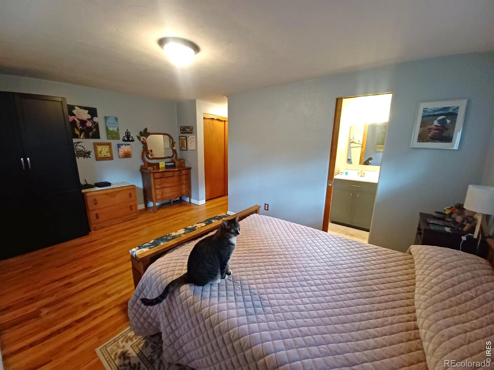 1024 Collyer Street Longmont CO 80501 MLS #RECIR1061152 06082026214040 1600 10