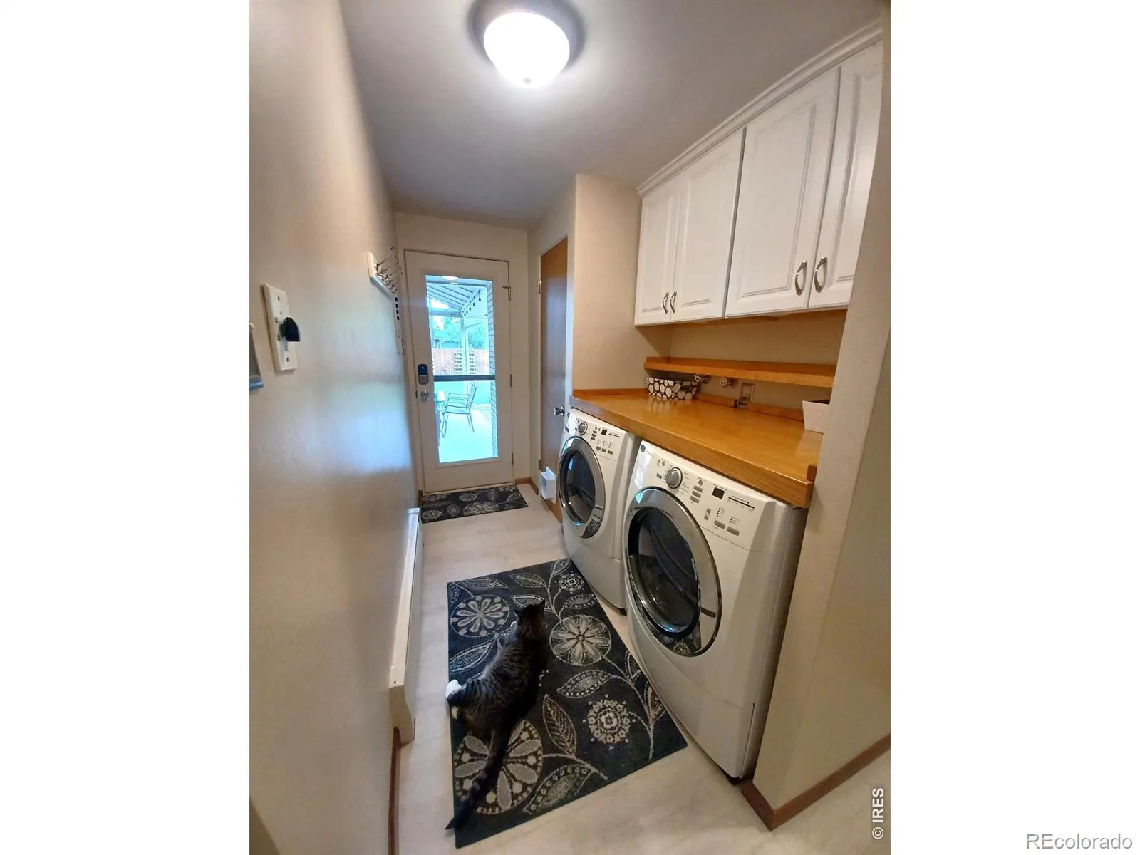1024 Collyer Street Longmont CO 80501 MLS #RECIR1061152 06082026214040 1600 23