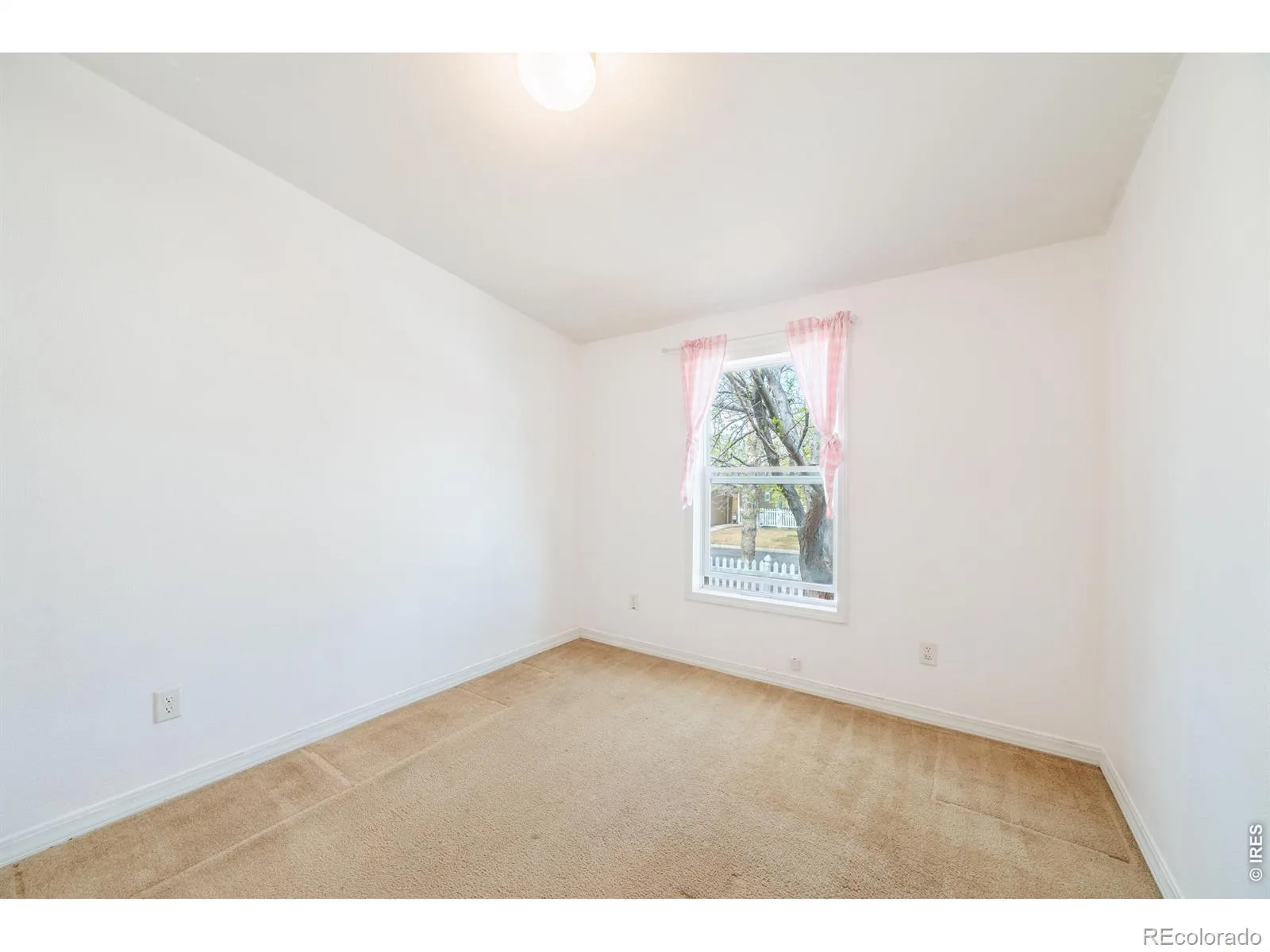 7805 Sunflower Green Frederick CO 80530 | MLS #RECIR1061169 06232026005724 1600 19