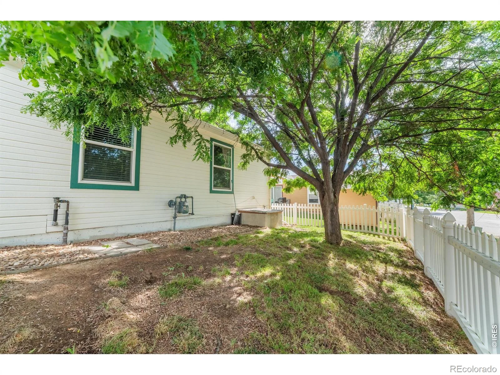 7805 Sunflower Green Frederick CO 80530 | MLS #RECIR1061169 06232026005724 1600 31