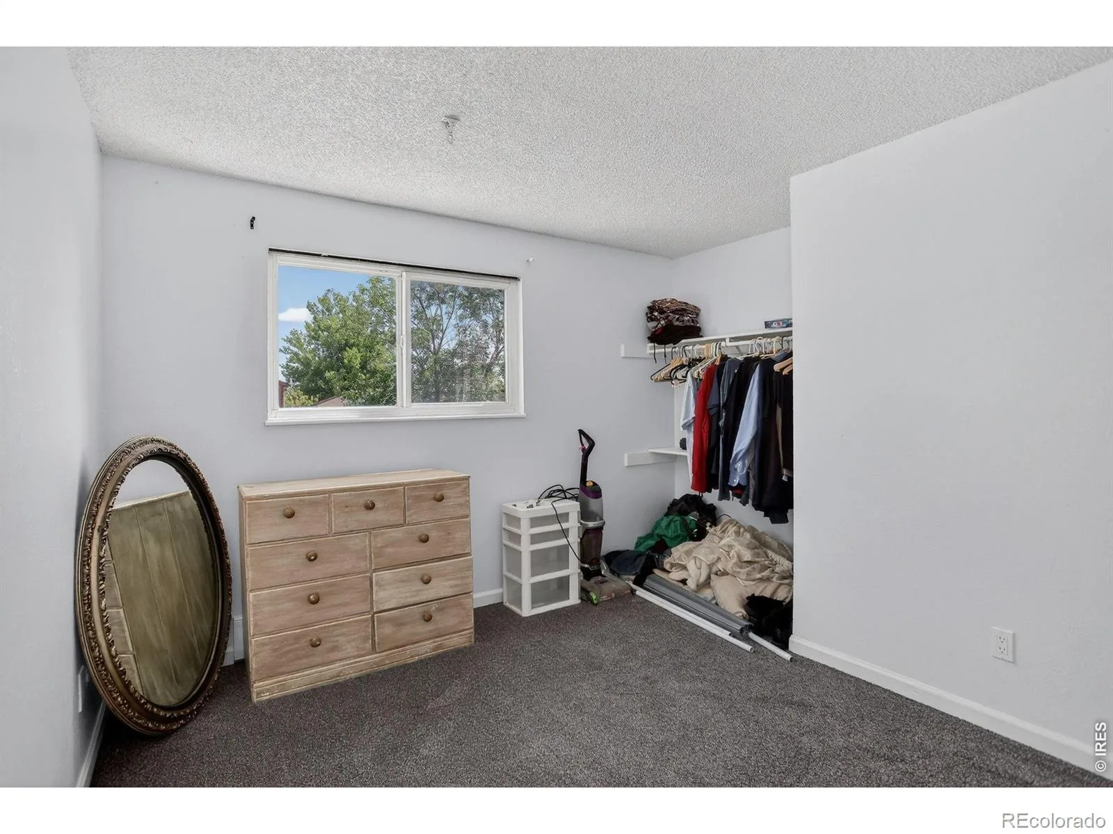 10895 Grange Creek Drive Thornton CO 80233 | MLS #RECIR1061238 08202026033540 1600 12