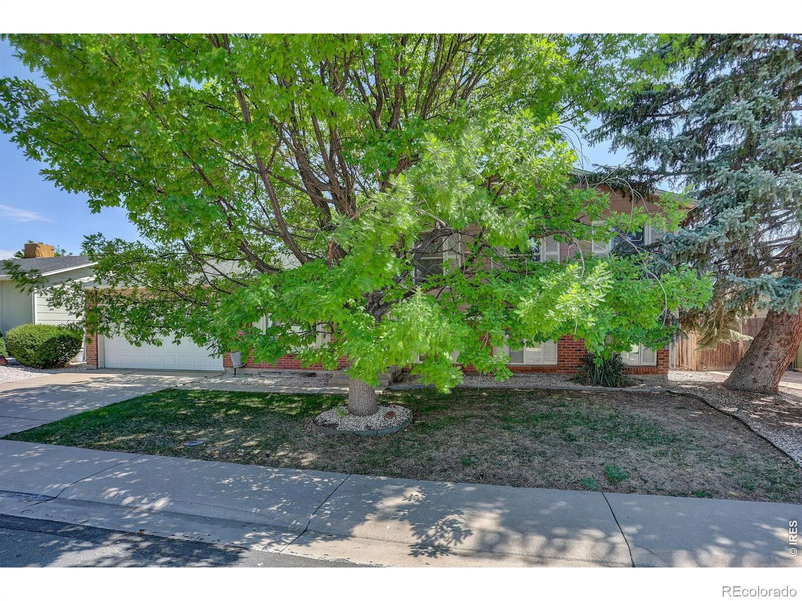 10895 Grange Creek Drive Thornton CO 80233 | MLS #RECIR1061238 08202026033540 1600 19