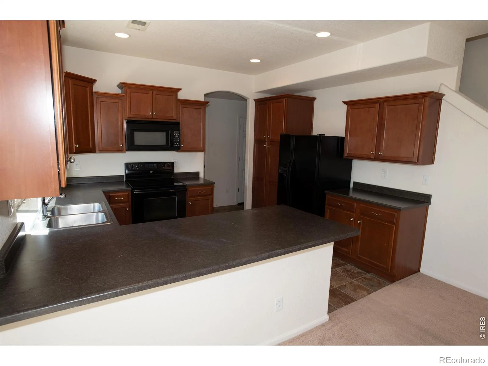 4698 Andes Way Denver CO 80249 | MLS #RECIR1061268 06222026190925 1600 6