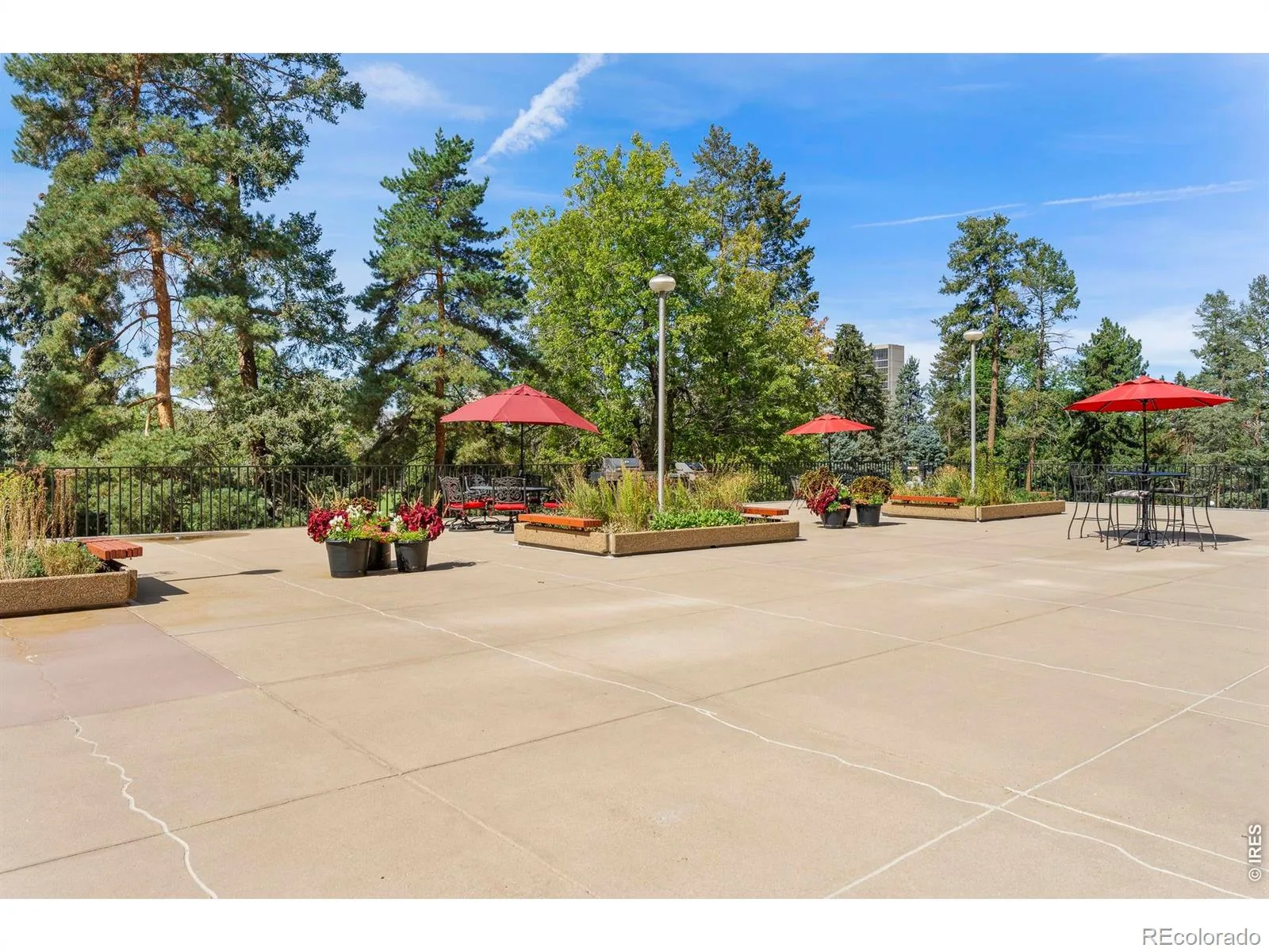 1111 Race Street #4B Denver CO 80206 MLS #RECIR1061401 06102026203849 1600 29