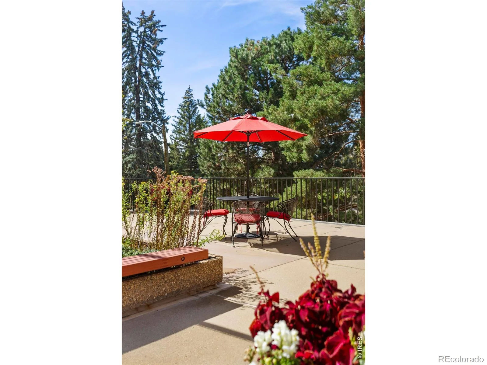1111 Race Street #4B Denver CO 80206 MLS #RECIR1061401 06102026203849 1600 30