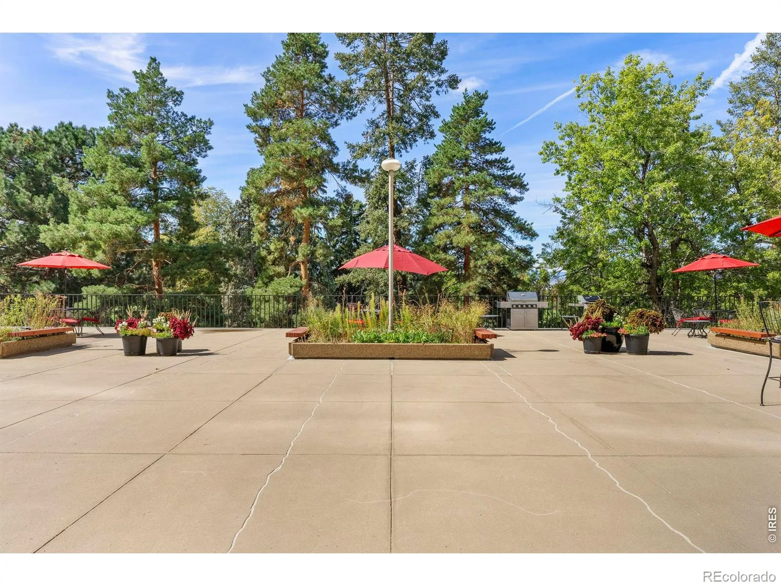 1111 Race Street #4B Denver CO 80206 MLS #RECIR1061401 06102026203849 1600 32