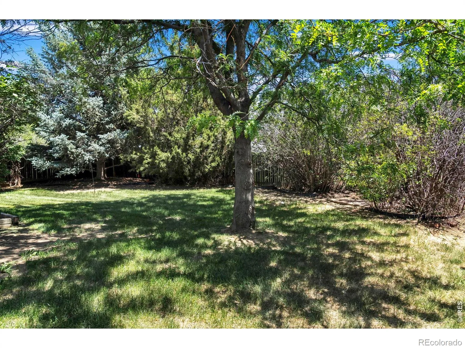 1106 Red Oak Drive Longmont CO 80504 MLS #RECIR1061439 06112026164643 1600 27