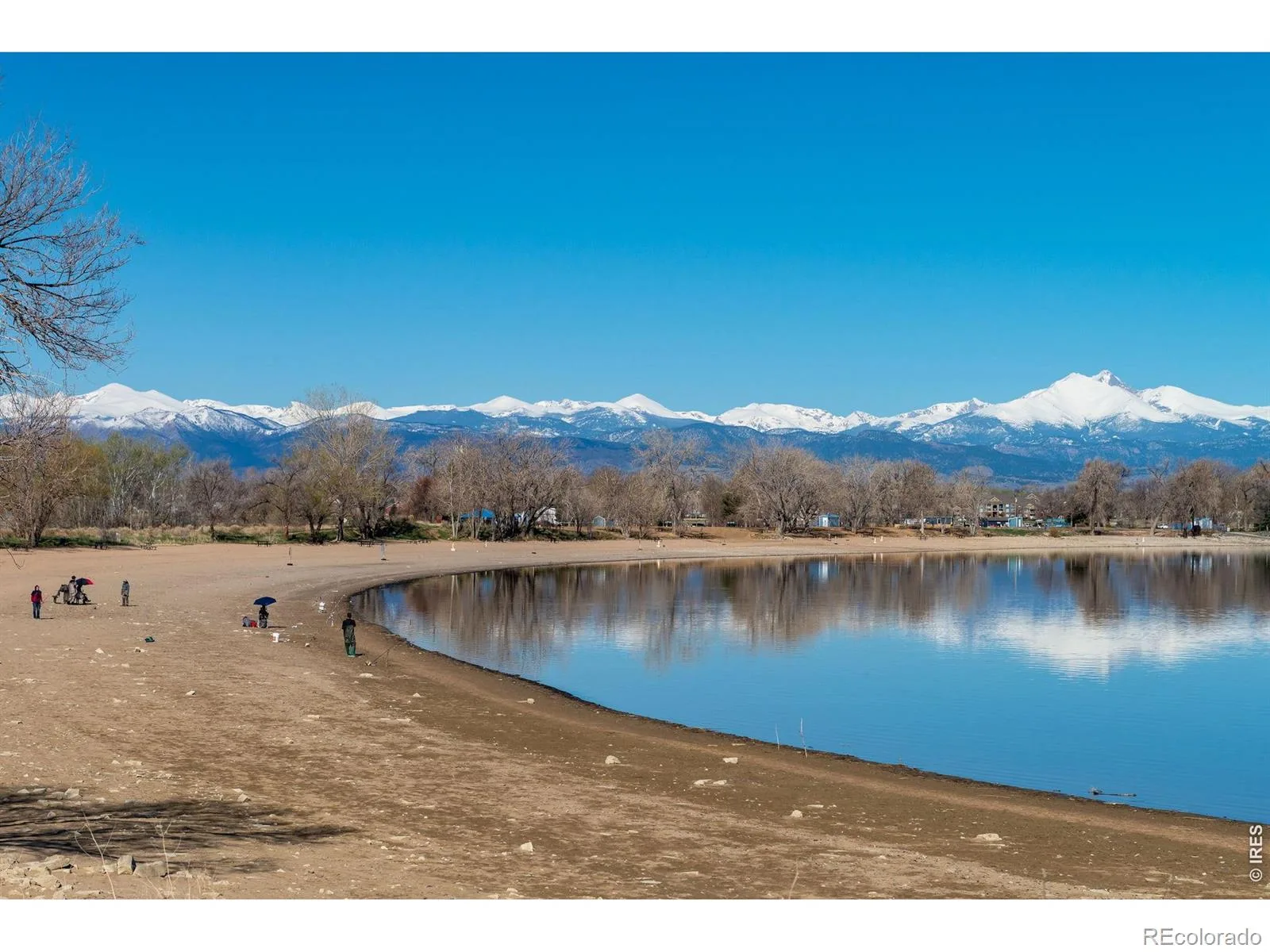 1106 Red Oak Drive Longmont CO 80504 MLS #RECIR1061439 06112026164643 1600 29