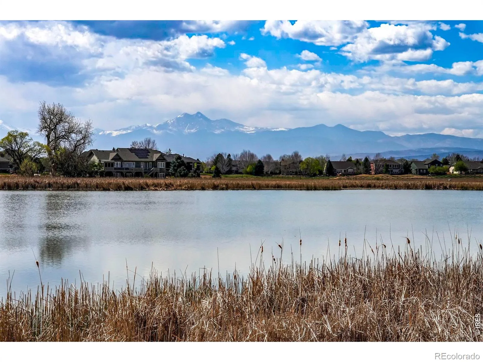 1106 Red Oak Drive Longmont CO 80504 MLS #RECIR1061439 06112026164643 1600 30