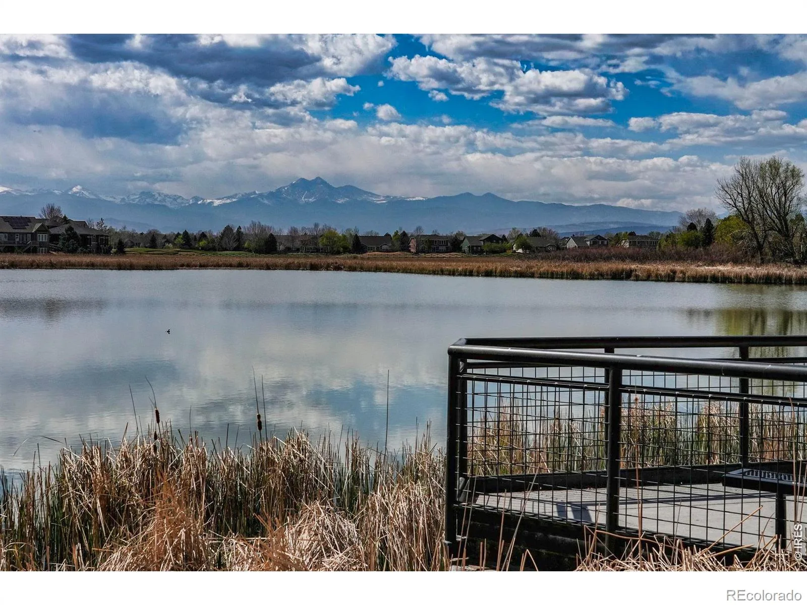1106 Red Oak Drive Longmont CO 80504 MLS #RECIR1061439 06112026164643 1600 31