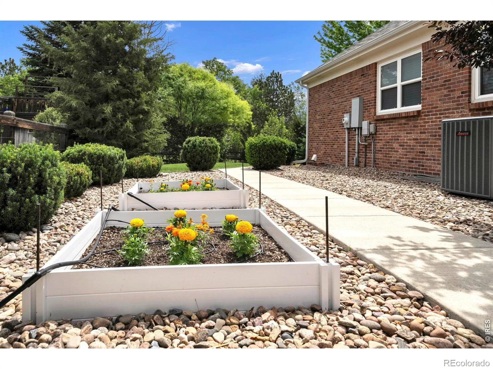 1590 Snowy Owl Drive Broomfield CO 80020 | MLS #RECIR1061597 06122026175758 1600 33
