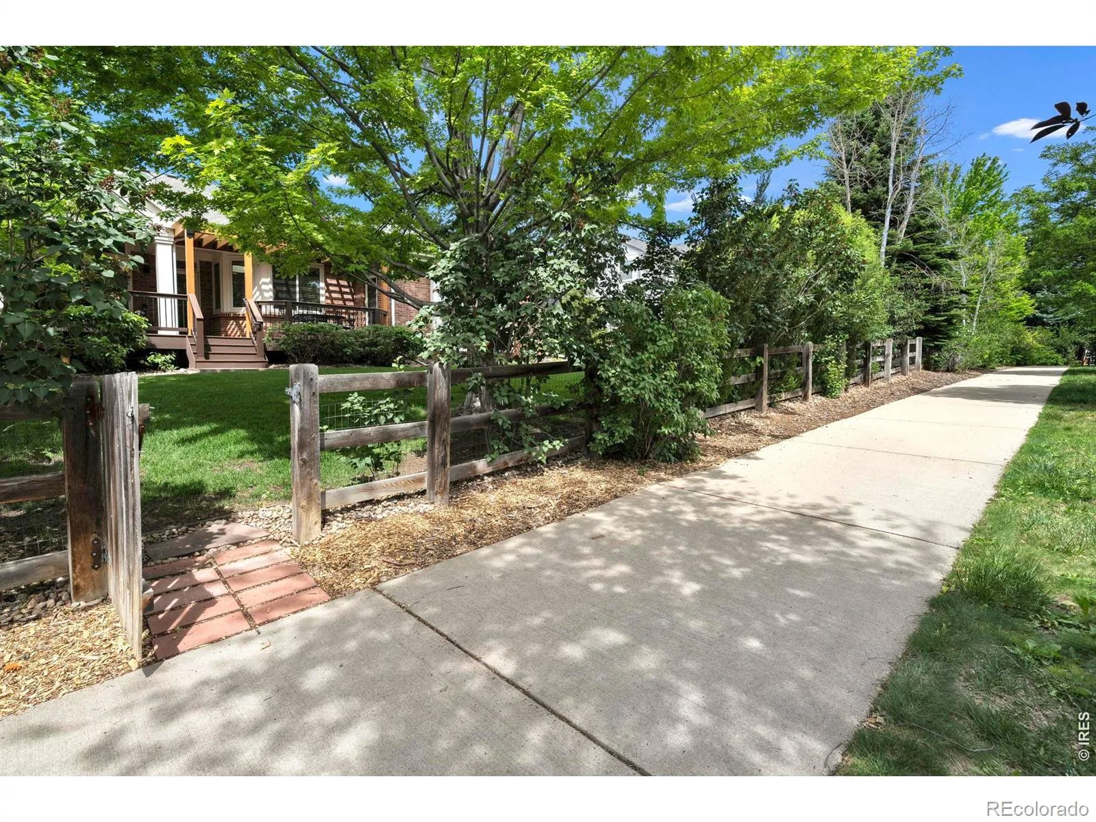 1590 Snowy Owl Drive Broomfield CO 80020 | MLS #RECIR1061597 06122026175758 1600 35