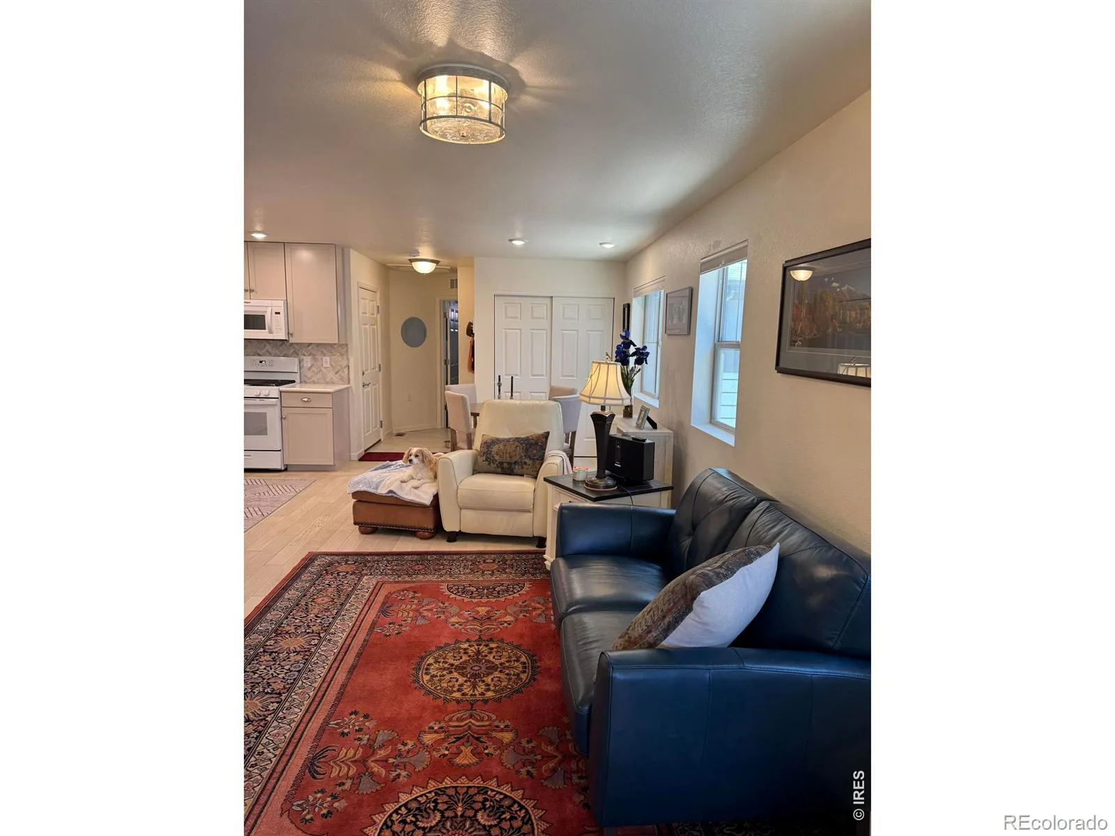 64 Avocet Court Longmont CO 80501 MLS #RECIR1061670 06122026202809 1600 3