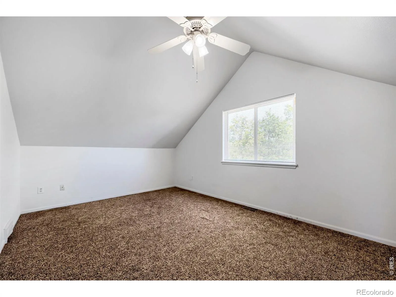 1201-1203 Spruce Avenue Longmont CO 80501 MLS #RECIR1061733 06132026012837 1600 10