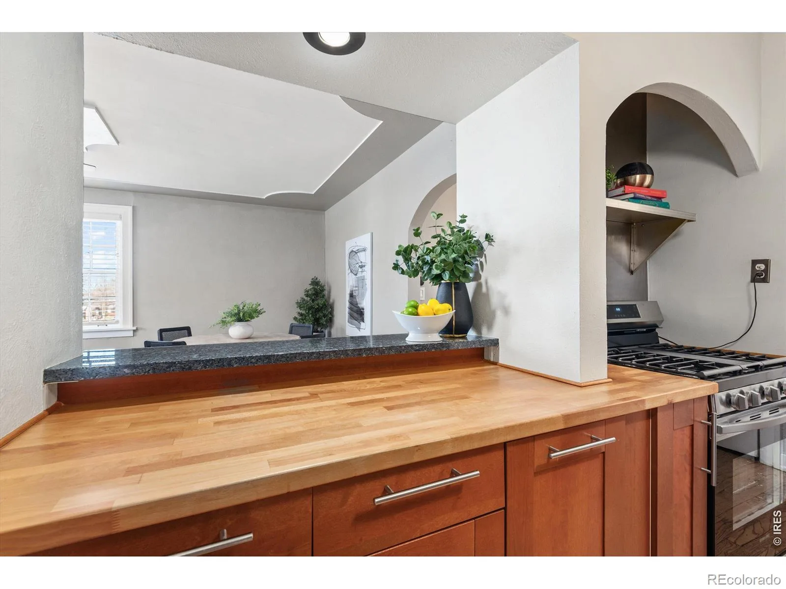 1446 N Gilpin Street #1 Denver CO 80218 MLS #RECIR1061737 06122026232836 1600 15