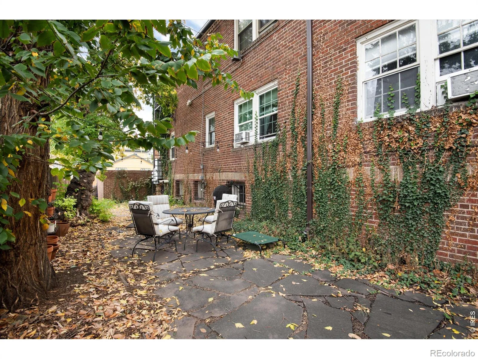 1446 N Gilpin Street #1 Denver CO 80218 MLS #RECIR1061737 06122026232836 1600 27
