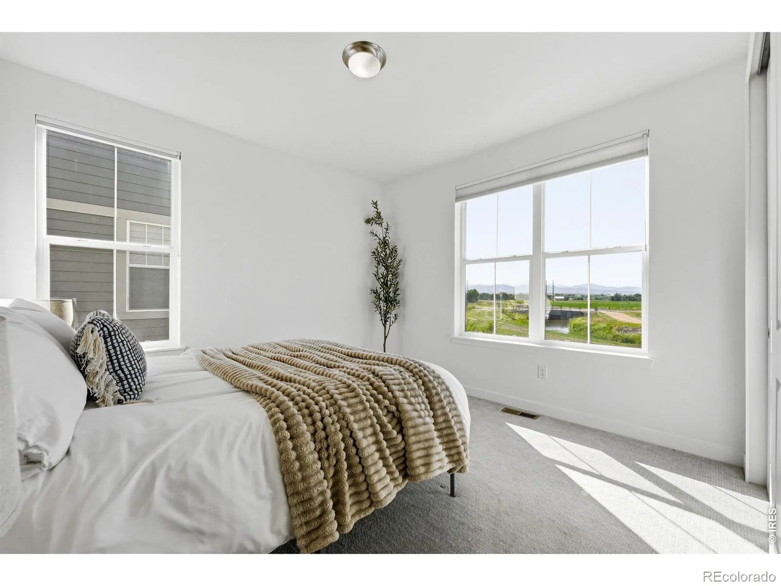 941 Wildrose Place Erie CO 80516 | MLS #RECIR1061745 07022026011254 1600 22