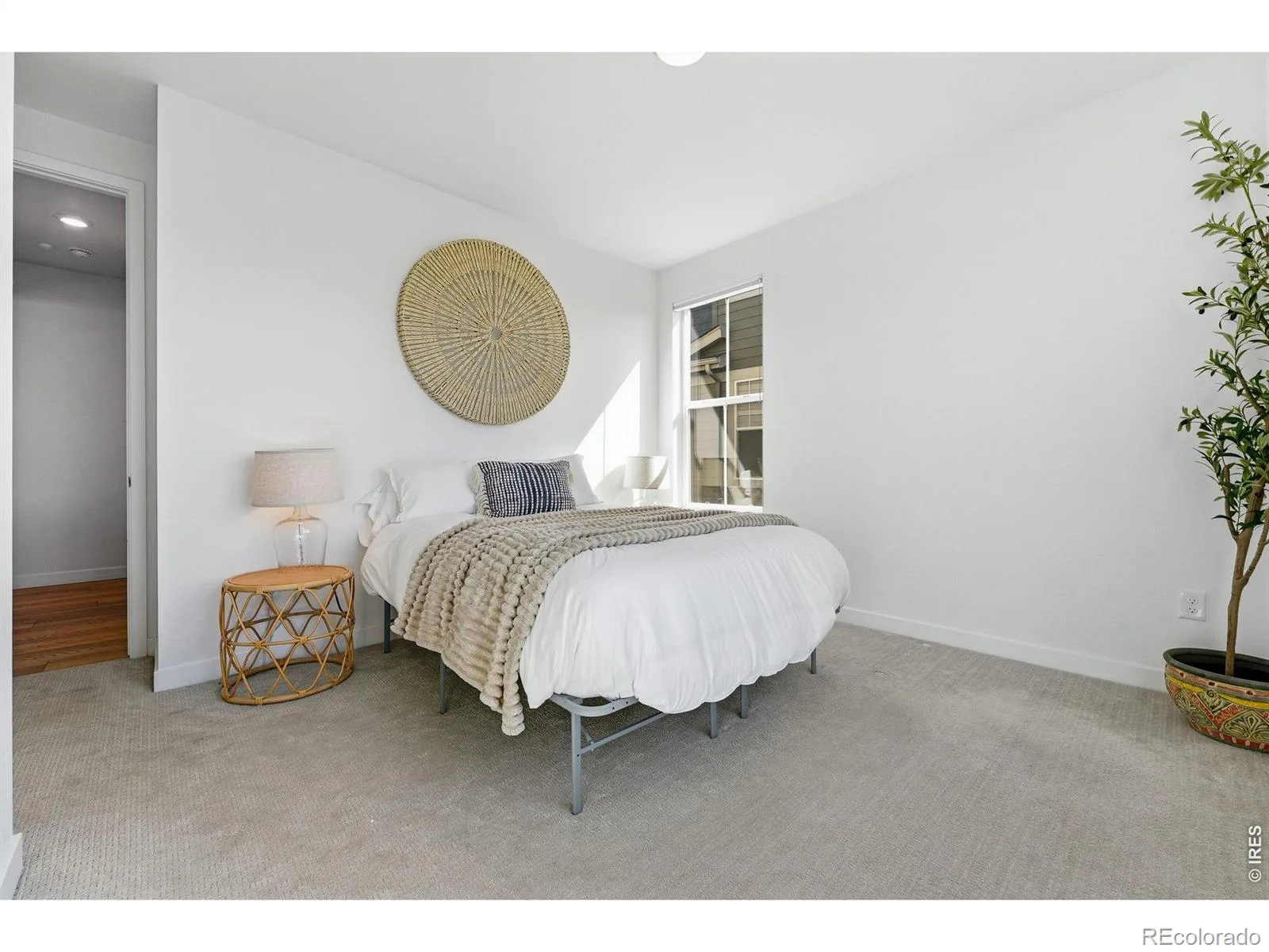 941 Wildrose Place Erie CO 80516 | MLS #RECIR1061745 07022026011254 1600 24