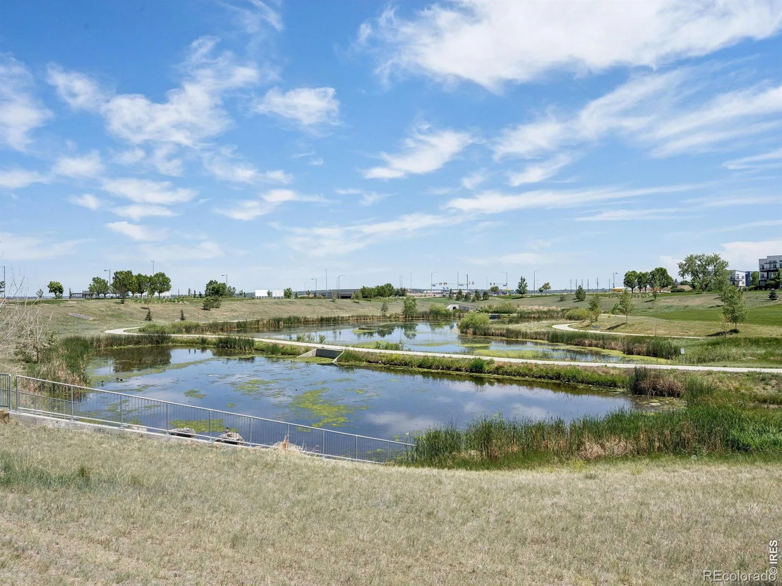 11202 Colony Circle Broomfield CO 80021 | MLS #RECIR1061759 06142026012246 1600 22