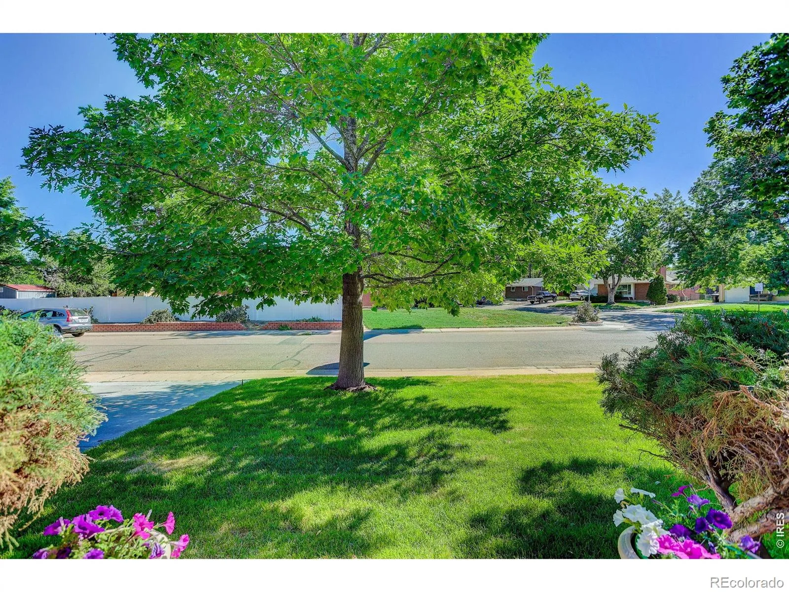 1431 S Magnolia Way Denver CO 80224 | MLS #RECIR1061794 08112026003732 1600 24