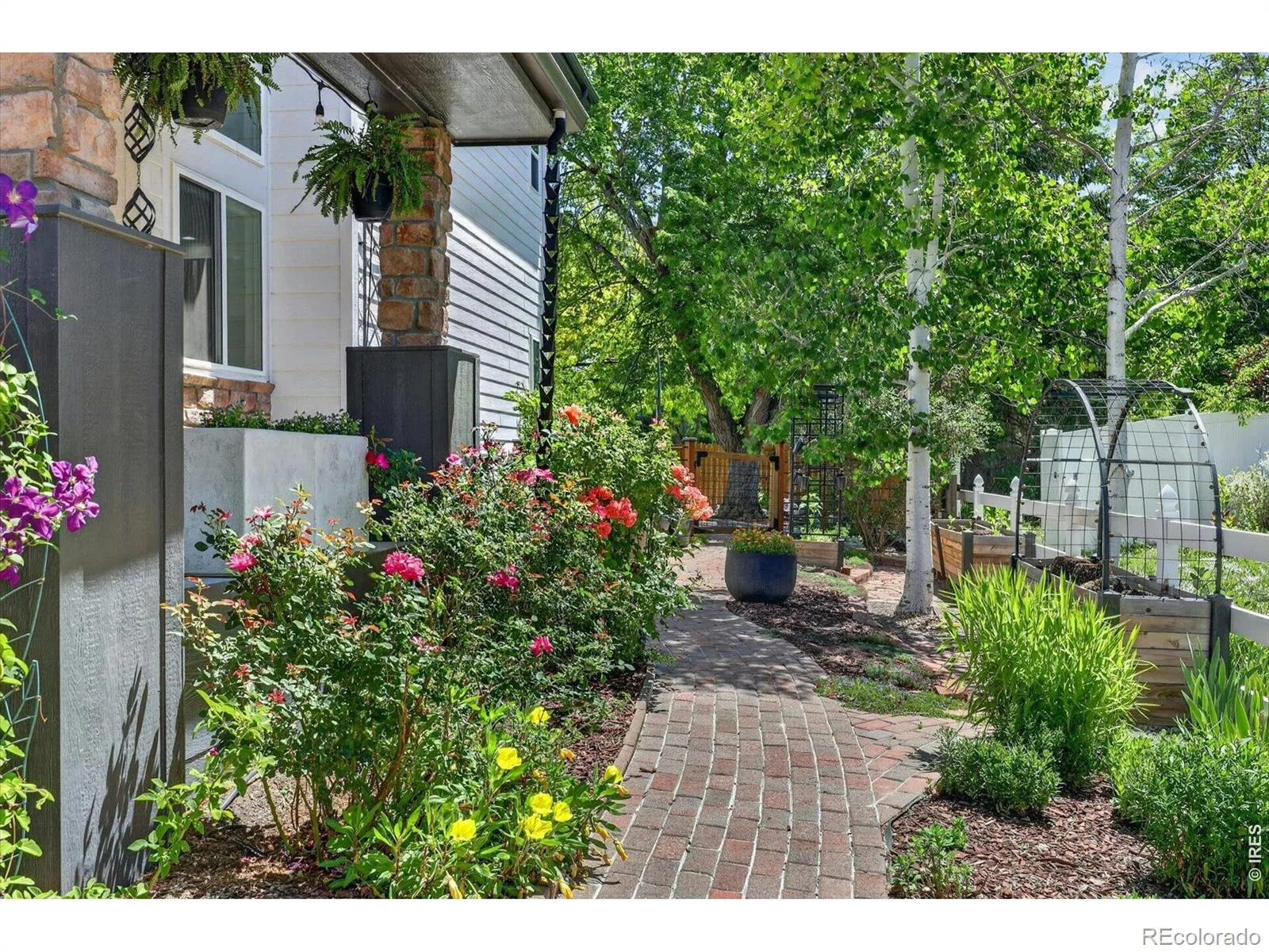 714 Ridge Creek Court Longmont CO 80504 MLS #RECIR1061817 06142026140254 1600 47