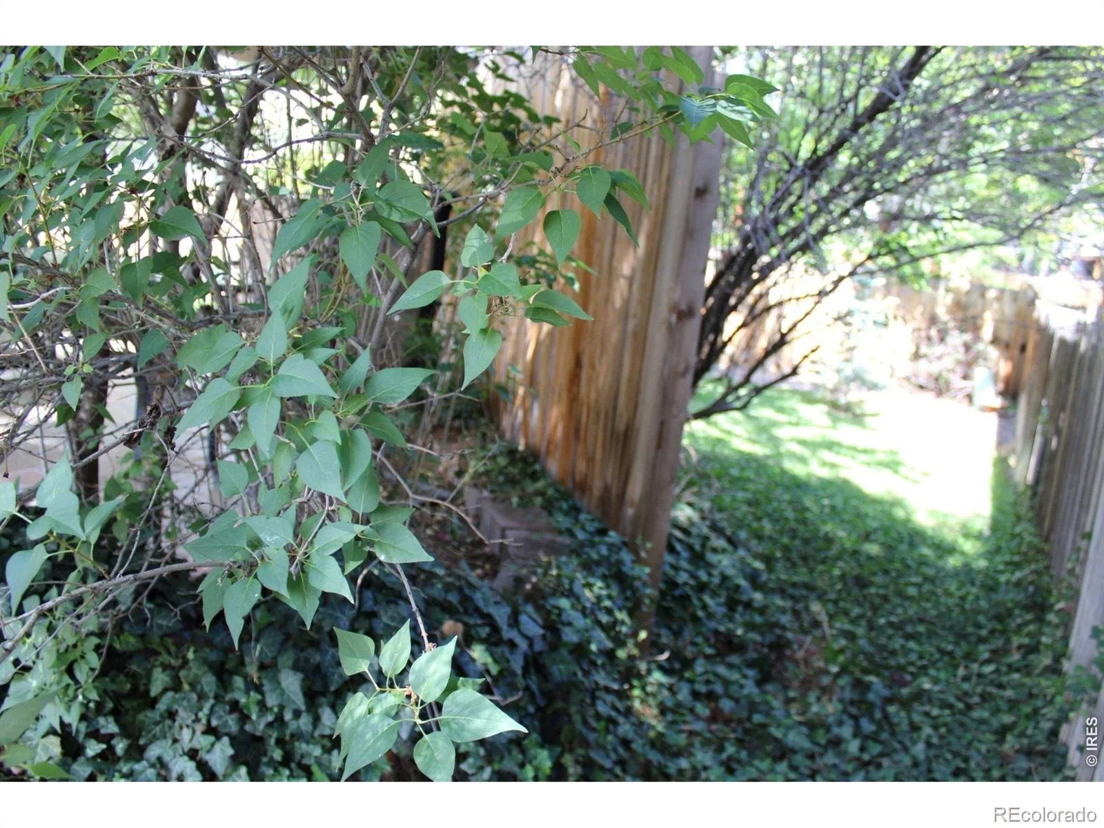 7027 Orion Lane Arvada CO 80007 MLS #RECIR1061832 06152026194928 1600 26