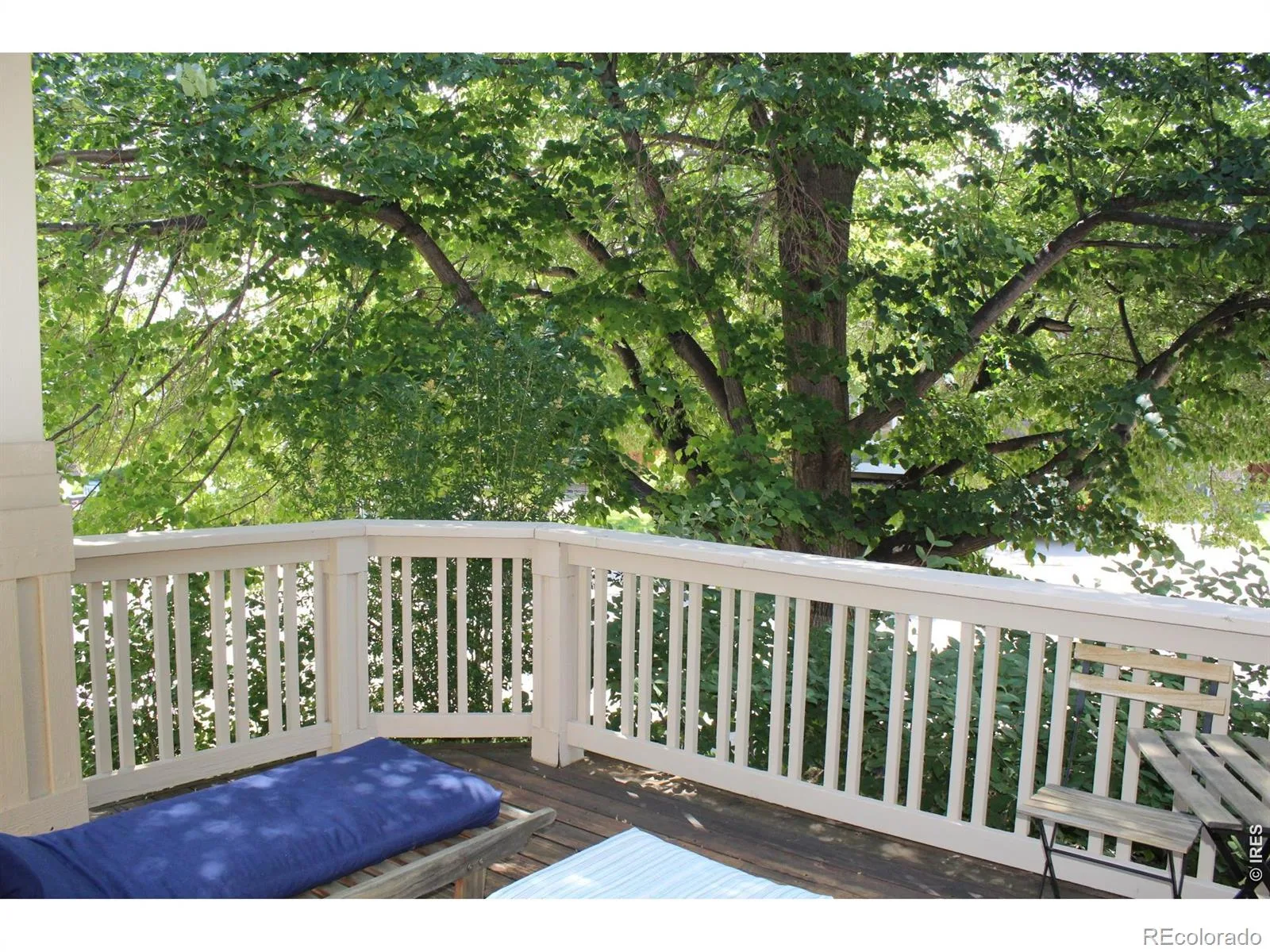 7027 Orion Lane Arvada CO 80007 MLS #RECIR1061832 06152026194928 1600 30
