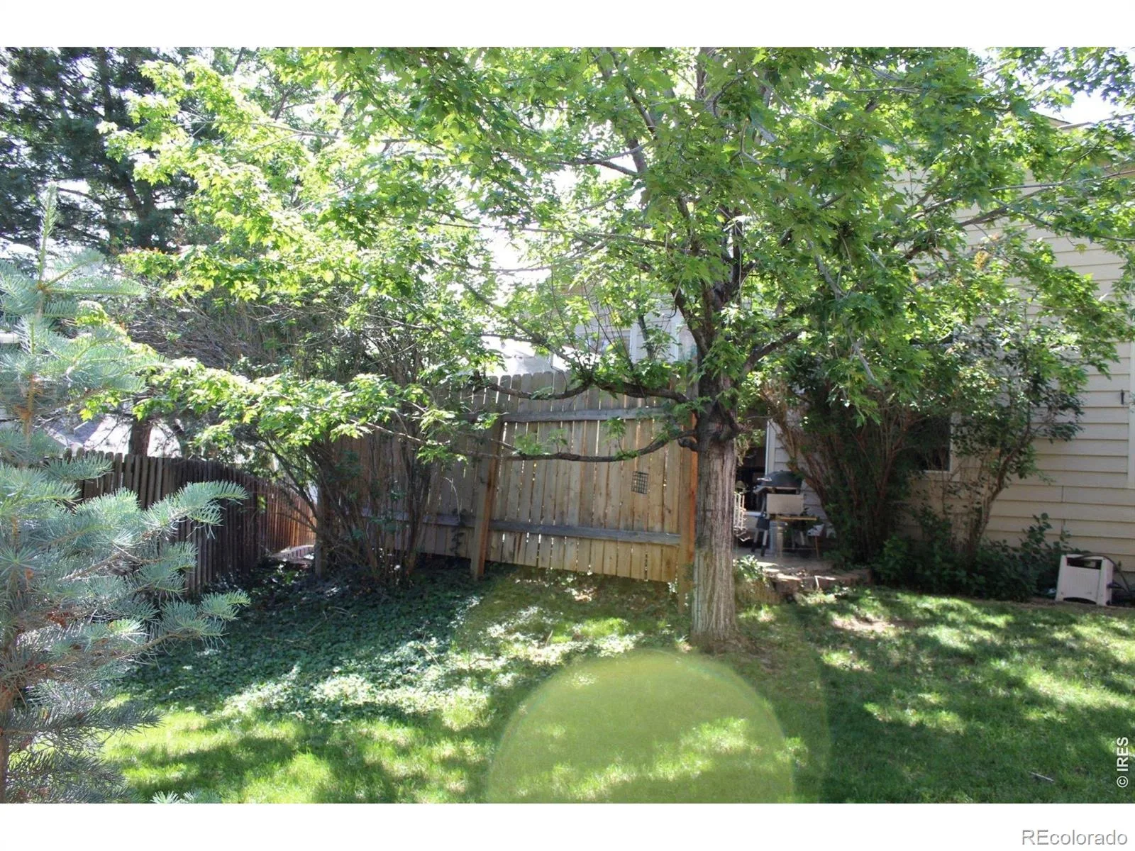 7027 Orion Lane Arvada CO 80007 MLS #RECIR1061832 06152026194928 1600 32