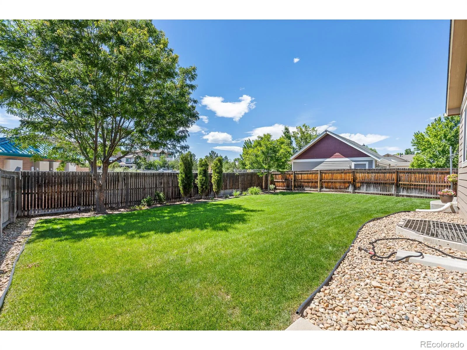 1735 Trevor Court Longmont CO 80501 | MLS #RECIR1061948 06182026035626 1600 5