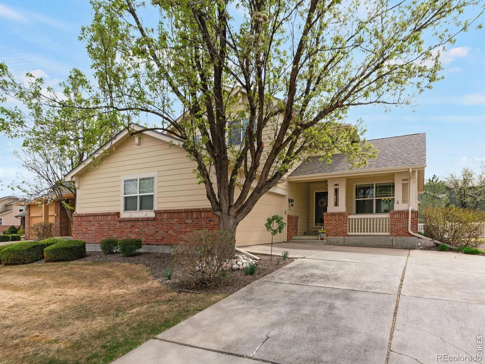 12651 James Circle Broomfield CO 80020 MLS #RECIR1061982 06172026060447 1600 1