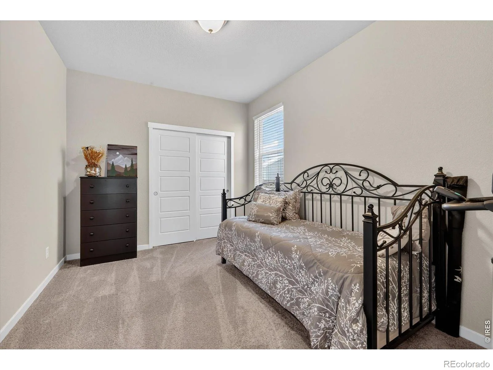 113 Jacobs Way Lochbuie CO 80603 | MLS #RECIR1062174 08192026170755 1600 24