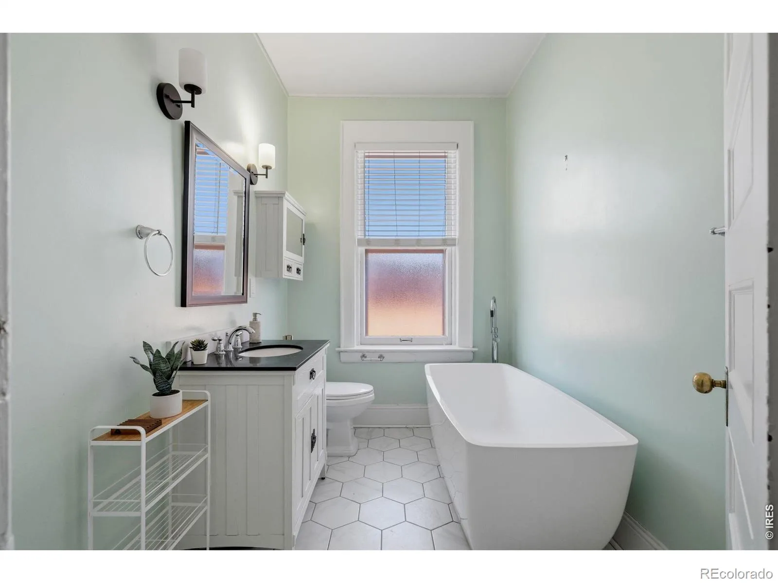 1401 N Franklin Street #3 Denver CO 80218 MLS #RECIR1062245 07222026232356 1600 18