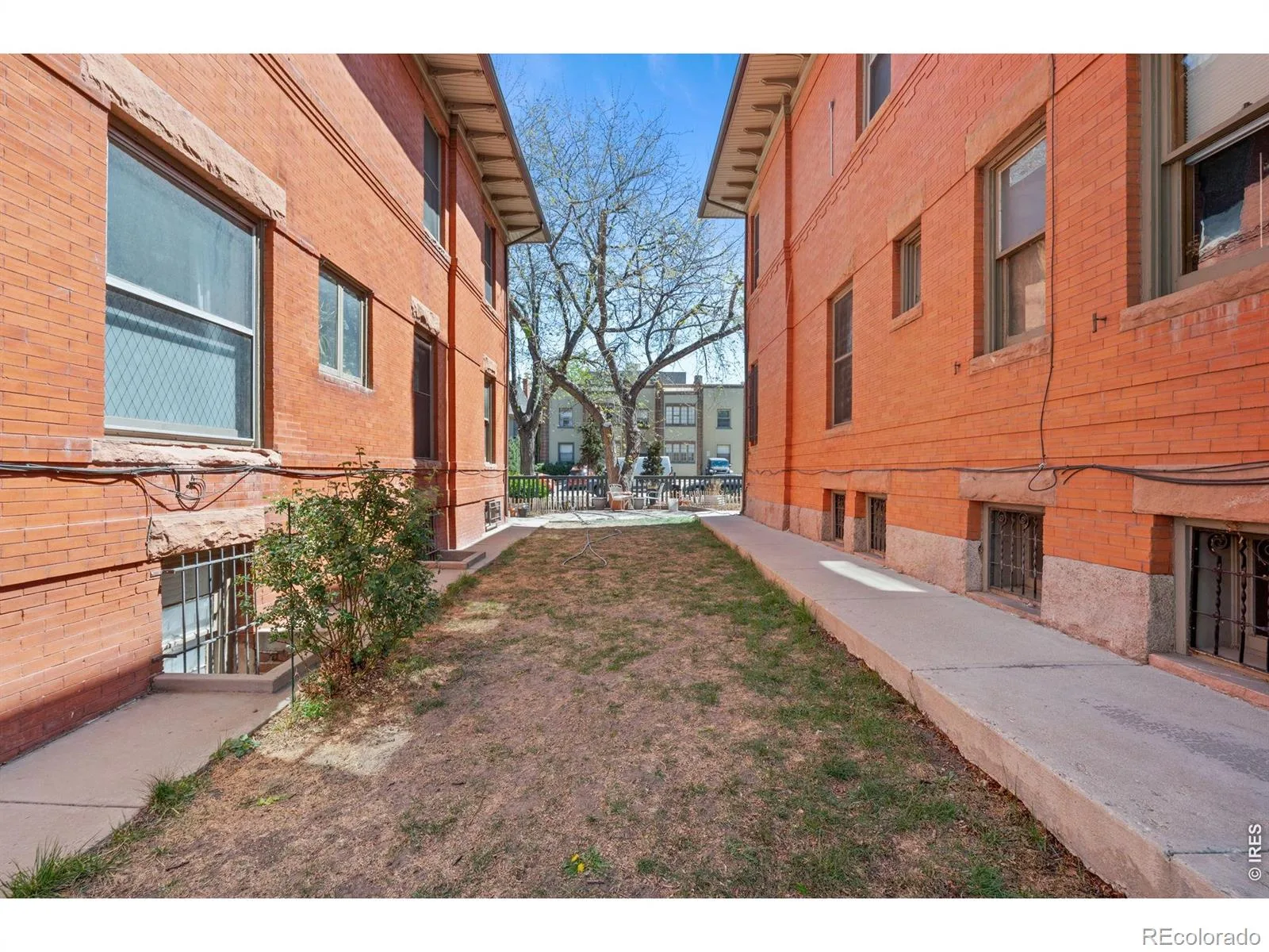1401 N Franklin Street #3 Denver CO 80218 MLS #RECIR1062245 07222026232356 1600 21