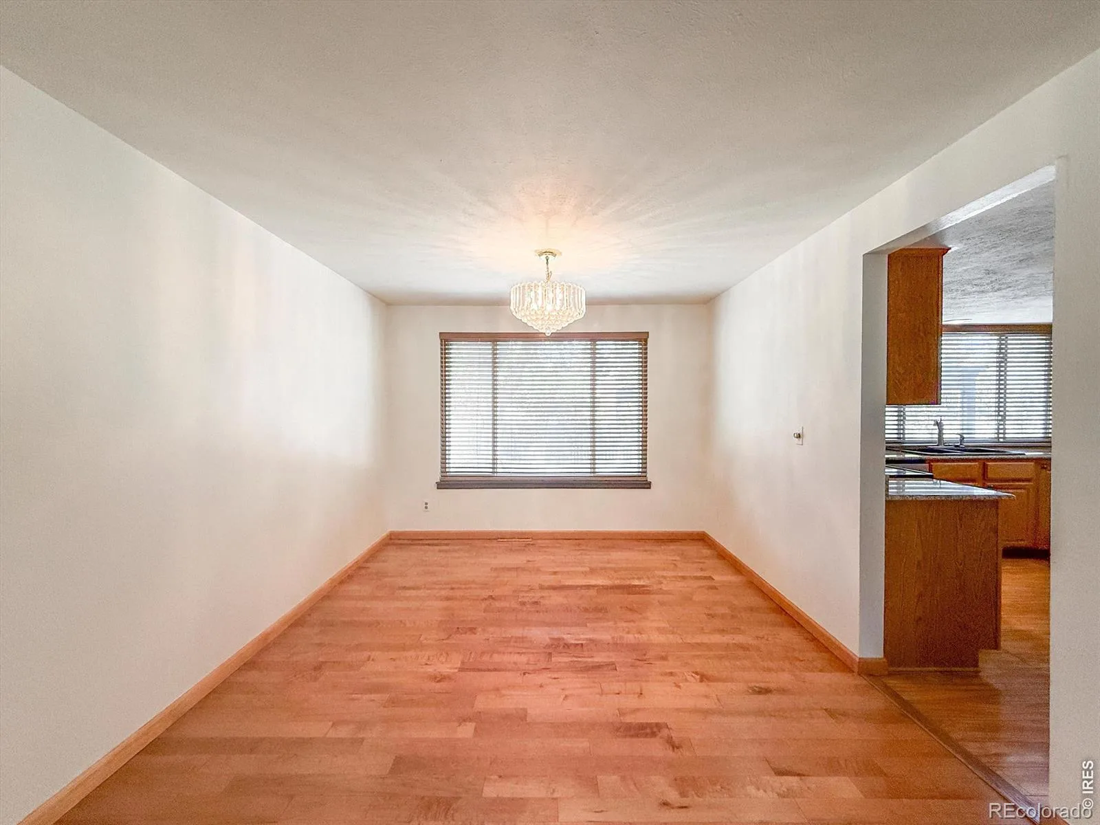 1703 Drake Street Longmont CO 80503 | MLS #RECIR1062342 08092026003807 1600 10