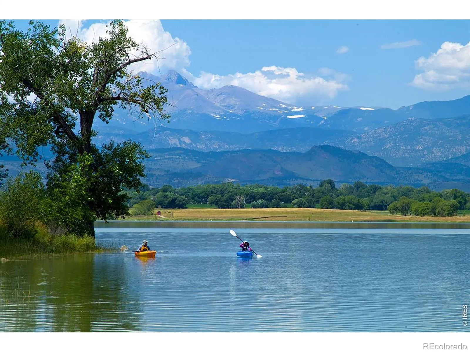 1703 Drake Street Longmont CO 80503 | MLS #RECIR1062342 08092026003807 1600 42