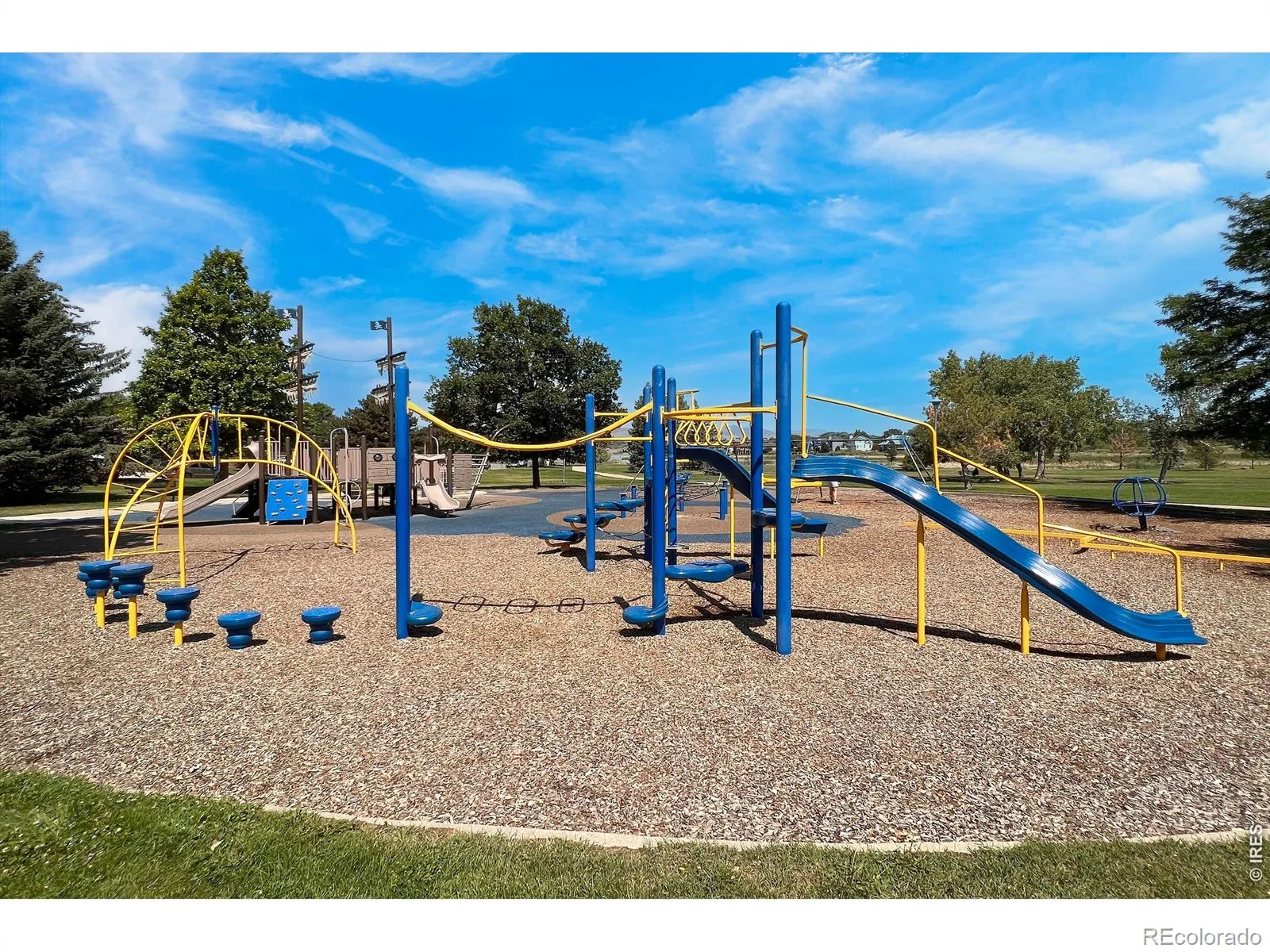 1703 Drake Street Longmont CO 80503 | MLS #RECIR1062342 08092026003807 1600 46