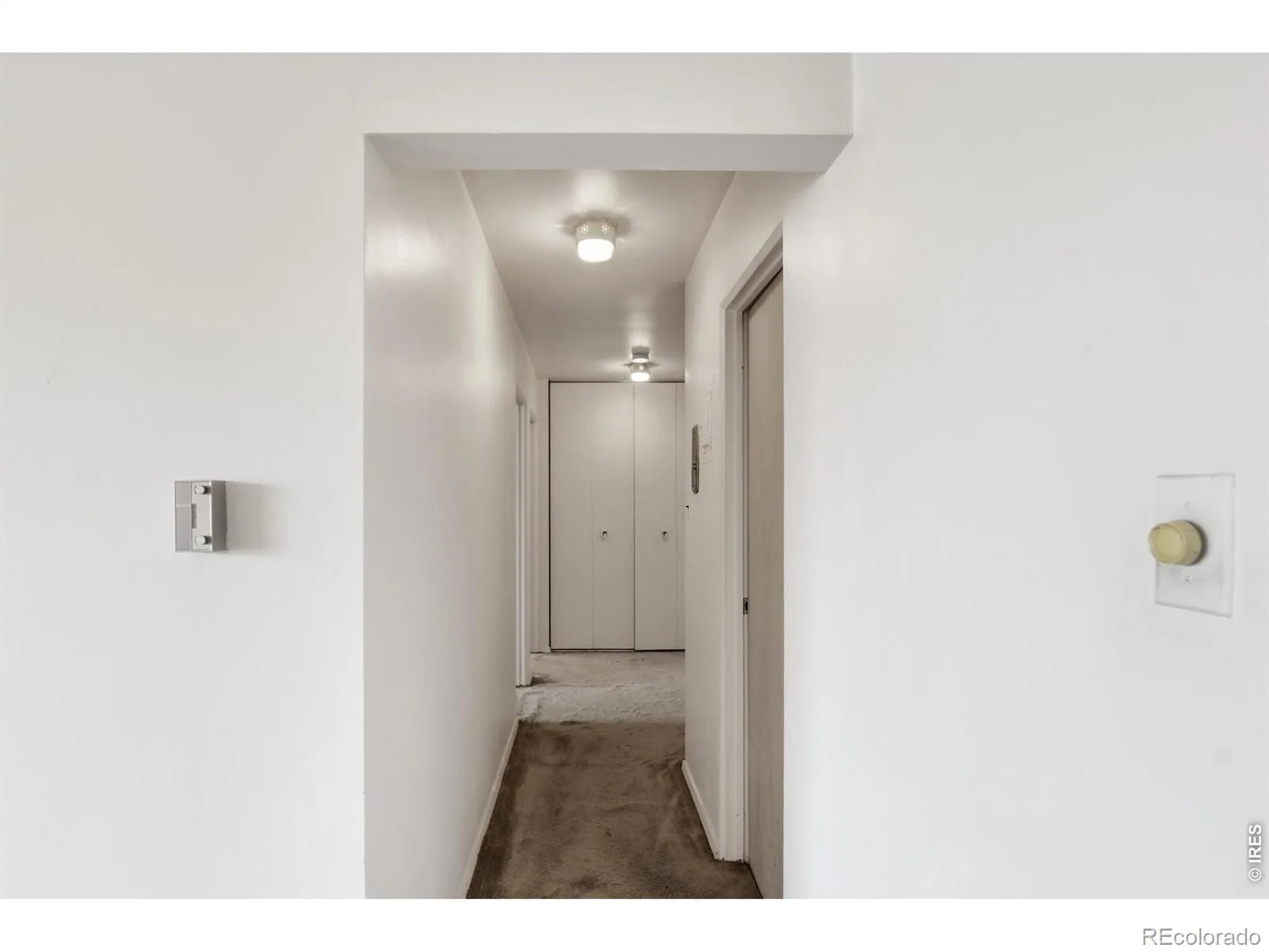 855 N Pennsylvania Street #301 Denver CO 80203 | MLS #RECIR1062392 08122026135619 1600 21