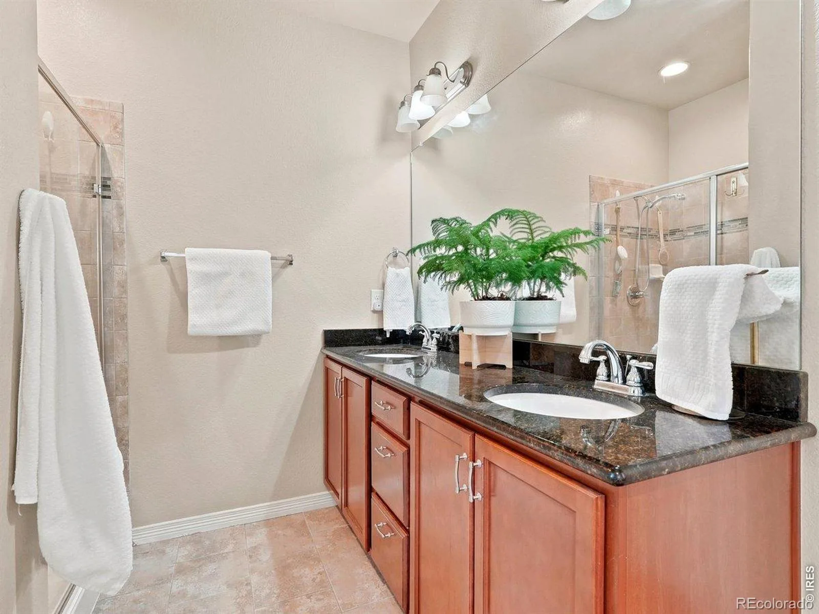 9029 Eldorado Avenue Frederick CO 80504 | MLS #RECIR1062398 07092026232716 1600 18
